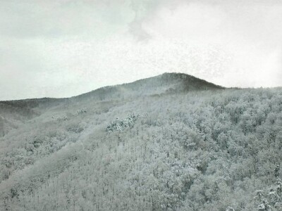 Plodna polja Zlatne doline snimljena dronom