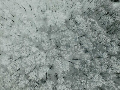 Plodna polja Zlatne doline snimljena dronom