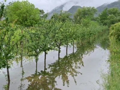 Plodno vrgoračko tlo pretvoreno u jezero