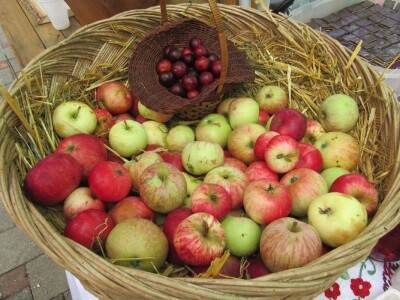 Plodovi gorja Gorskog kotara Plodovi gorja Gorskog kotara