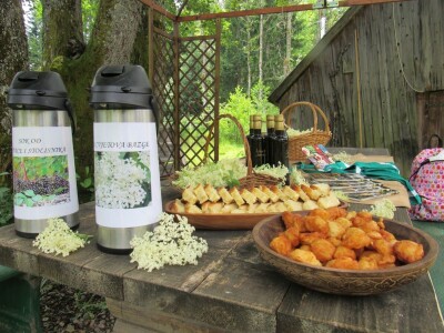 Plodovi gorja Gorskog kotara Plodovi gorja Gorskog kotara