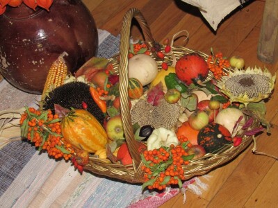 Plodovi gorja Gorskog kotara Plodovi gorja Gorskog kotara