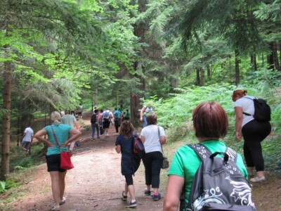 Plodovi gorja Gorskog kotara Plodovi gorja Gorskog kotara