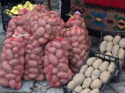 Plodovi Rađevine - promocija zdravih proizvoda, sela i poljoprivrede