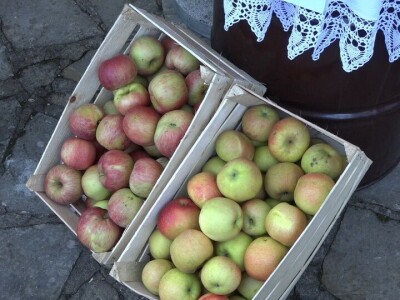 Plodovi Rađevine - promocija zdravih proizvoda, sela i poljoprivrede