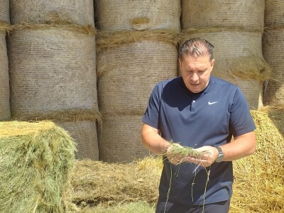 Po dobar kiseljak, pogaču i ovcu ide se u srce BiH