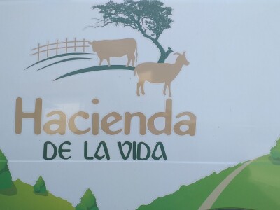 Po dobar kiseljak, pogaču i ovcu ide se u srce BiH