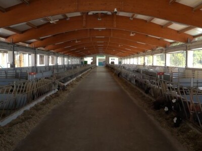 Po dobar kiseljak, pogaču i ovcu ide se u srce BiH