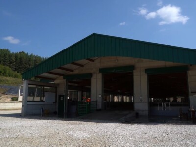 Po dobar kiseljak, pogaču i ovcu ide se u srce BiH