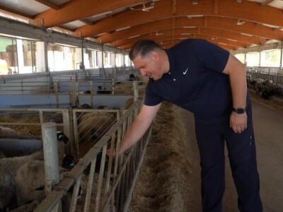 Po dobar kiseljak, pogaču i ovcu ide se u srce BiH