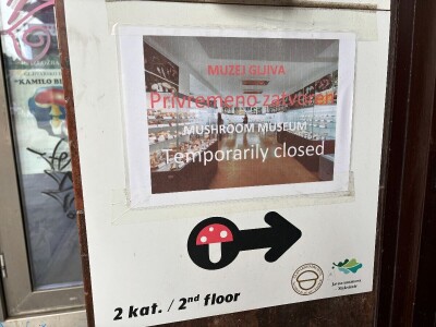 Po pitanju očuvanja Muzeja gljiva svi se prave gljivama