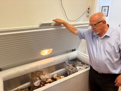 Po pitanju očuvanja Muzeja gljiva svi se prave gljivama