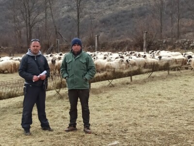 Pobuna stočara na Svilaji