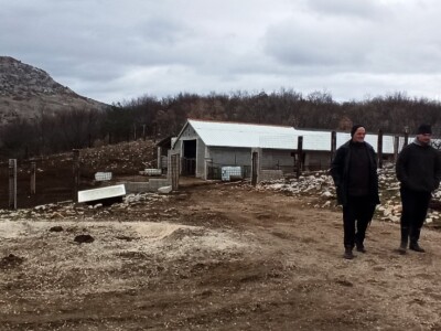 Pobuna stočara na Svilaji