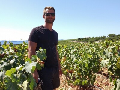 POČELA BERBA GROŽĐA - Adam Kromer iz Zmajevca predvodi berbu u Kraljevskim vinogradima