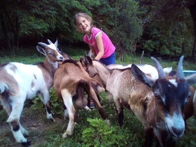 Počeli sa jednom kozom i korak po korak došli do farme: Porodica Tripić iz Banjaluke nadomak grada uživa u zdravim ekološkim proizvodima