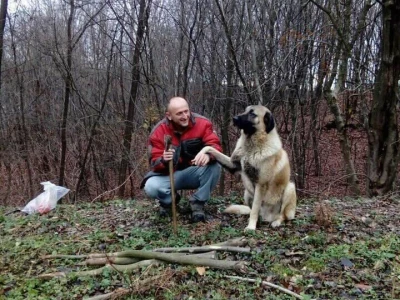 Počeli sa jednom kozom i korak po korak došli do farme: Porodica Tripić iz Banjaluke nadomak grada uživa u zdravim ekološkim proizvodima