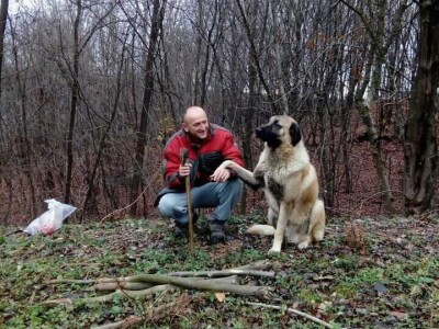 Počeli sa jednom kozom i korak po korak došli do farme: Porodica Tripić iz Banjaluke nadomak grada uživa u zdravim ekološkim proizvodima