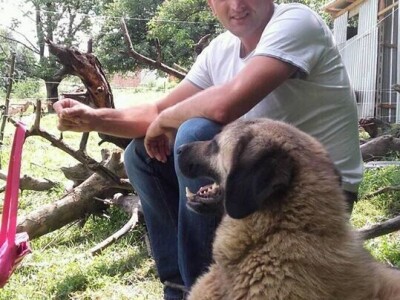 Počeli sa jednom kozom i korak po korak došli do farme: Porodica Tripić iz Banjaluke nadomak grada uživa u zdravim ekološkim proizvodima