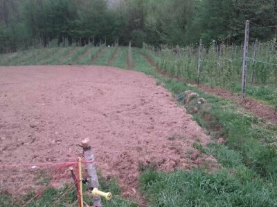 Počeli sa jednom kozom i korak po korak došli do farme: Porodica Tripić iz Banjaluke nadomak grada uživa u zdravim ekološkim proizvodima