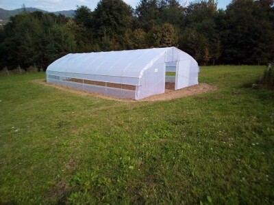 Počeli sa jednom kozom i korak po korak došli do farme: Porodica Tripić iz Banjaluke nadomak grada uživa u zdravim ekološkim proizvodima