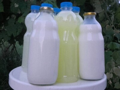 Počeli sa jednom kozom i korak po korak došli do farme: Porodica Tripić iz Banjaluke nadomak grada uživa u zdravim ekološkim proizvodima