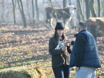 Počeli sa jednom kozom i korak po korak došli do farme: Porodica Tripić iz Banjaluke nadomak grada uživa u zdravim ekološkim proizvodima