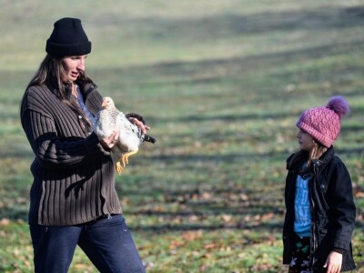 Počeli sa jednom kozom i korak po korak došli do farme: Porodica Tripić iz Banjaluke nadomak grada uživa u zdravim ekološkim proizvodima