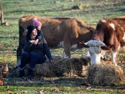 Počeli sa jednom kozom i korak po korak došli do farme: Porodica Tripić iz Banjaluke nadomak grada uživa u zdravim ekološkim proizvodima