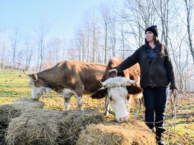 Počeli sa jednom kozom i korak po korak došli do farme: Porodica Tripić iz Banjaluke nadomak grada uživa u zdravim ekološkim proizvodima