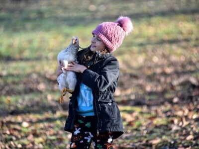 Počeli sa jednom kozom i korak po korak došli do farme: Porodica Tripić iz Banjaluke nadomak grada uživa u zdravim ekološkim proizvodima