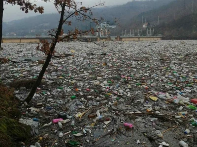 Počelo čišćenje Potpećkog jezera