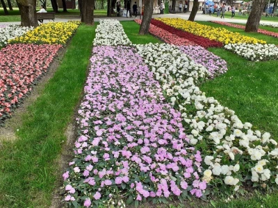 Počeo Floraart
