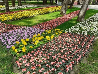 Počeo Floraart