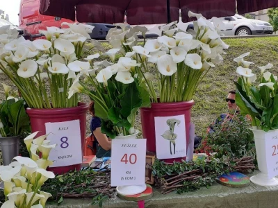 Počeo Floraart