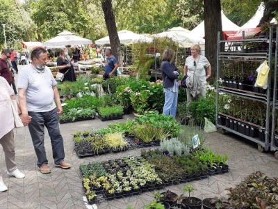 Počeo Floraart