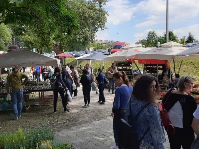 Počeo Floraart