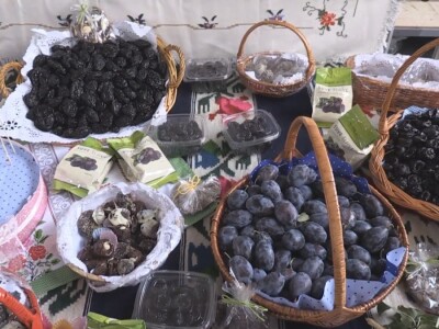 Podgorina poznata po šljivama