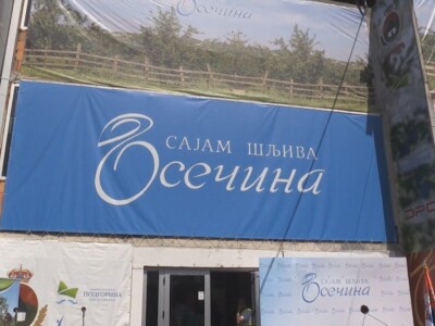 Podgorina poznata po šljivama