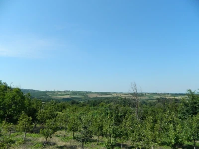 Podignut spomenik vinogradaru