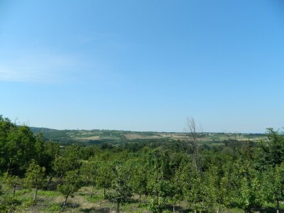 Podignut spomenik vinogradaru