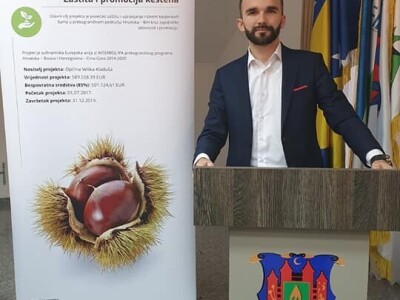 Podizanje plantaže kestena i uvjeti za uspješan uzgoj u BiH