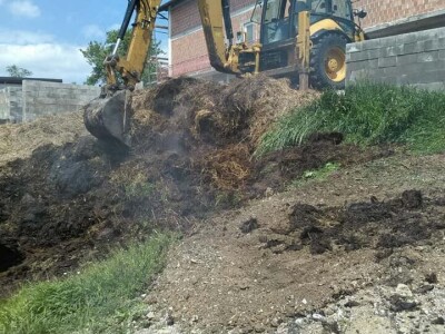 Podizanje plantaže kestena i uvjeti za uspješan uzgoj u BiH