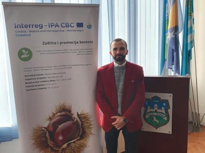 Podizanje plantaže kestena i uvjeti za uspješan uzgoj u BiH