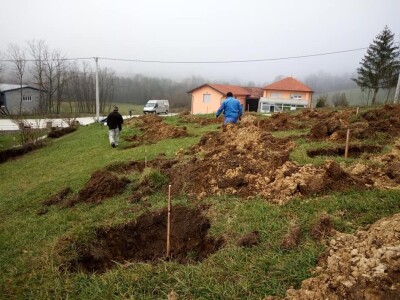 Podizanje plantaže kestena i uvjeti za uspješan uzgoj u BiH