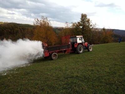 Podizanje plantaže kestena i uvjeti za uspješan uzgoj u BiH