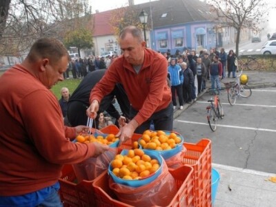 Neretvanske mandarine i klementine