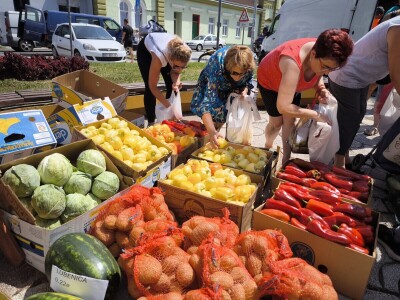 Podjela povrća u Virovitici