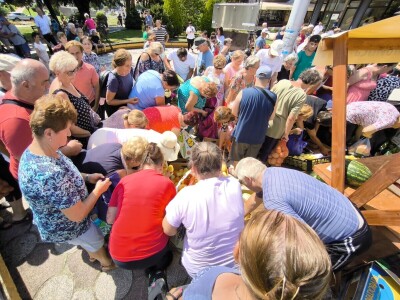 Podjela povrća u Virovitici