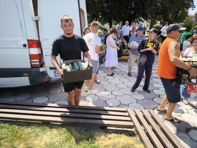 Podjela povrća u Virovitici